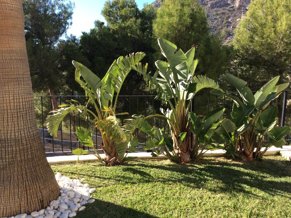 Olivos Holiday Home Altea Szoba fotó