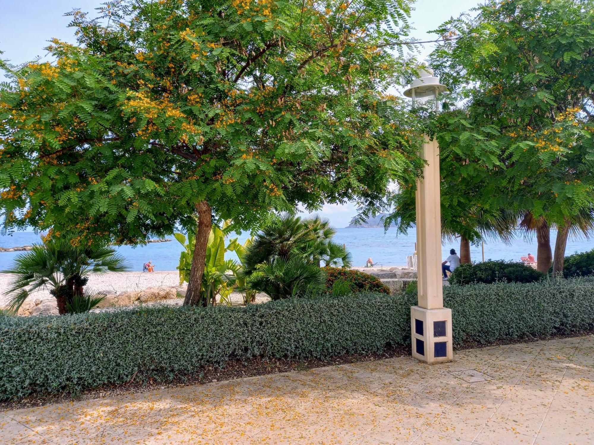 Olivos Holiday Home Altea Kültér fotó